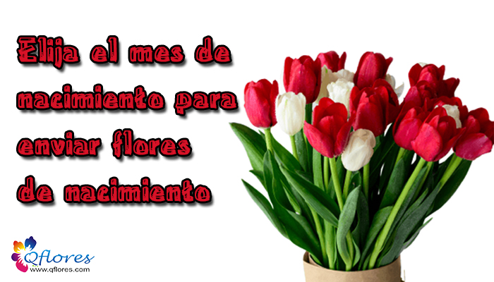 Elija el mes de nacimiento para enviar flores de nacimiento