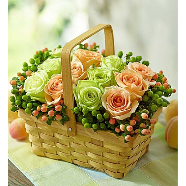 Para decir lo siento