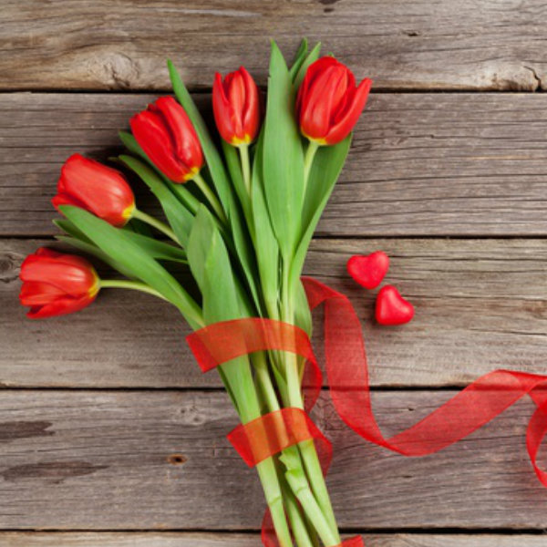 Tulipanes rojos románticos