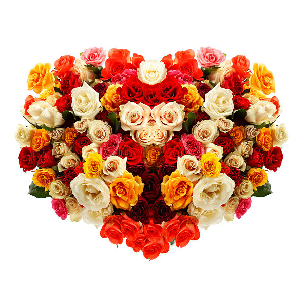 Rosas (que no son rojas)