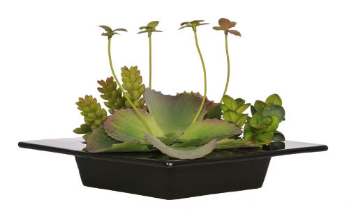 Visita una casa de seda