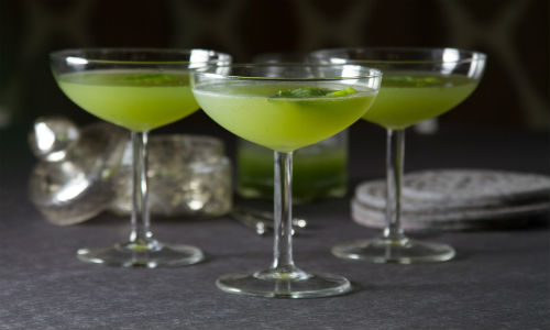 Albahaca martini