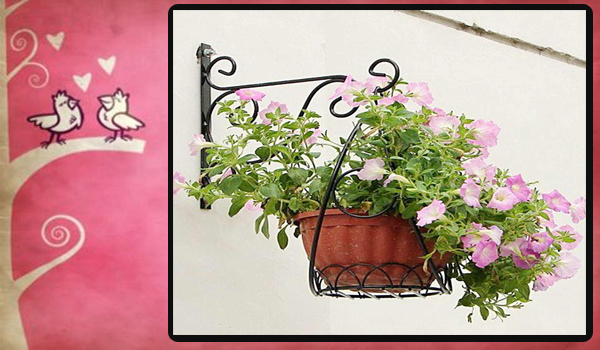 Planta para colgar en la pared