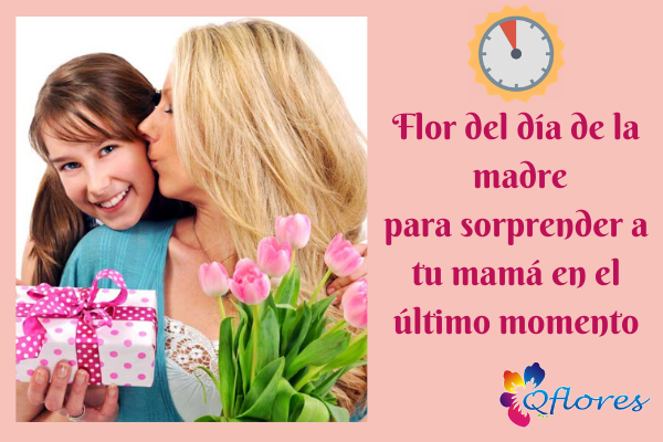 Hermosa flor del día de la madre para sorprender a tu mamá en el último momento