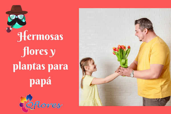 7 preciosas flores y plantas para que papá haga que su día sea alegre