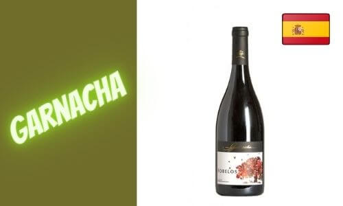 garnacha