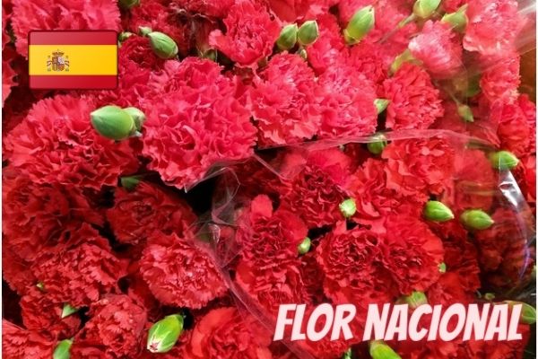 national floweers of spain