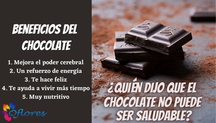 ¿Quién dijo que el chocolate no puede ser saludable?