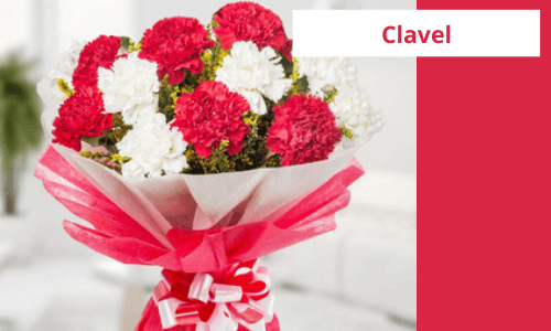 claveles