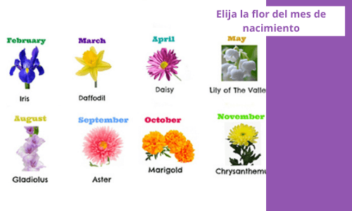 Elegir la flor del mes de nacimiento