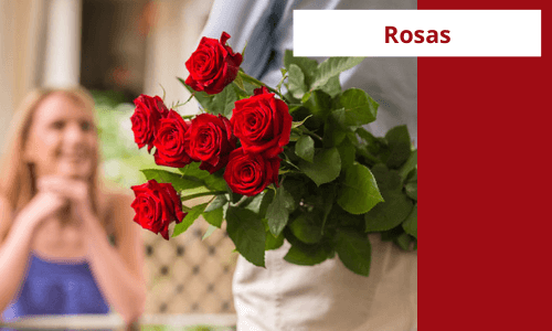 Rosas