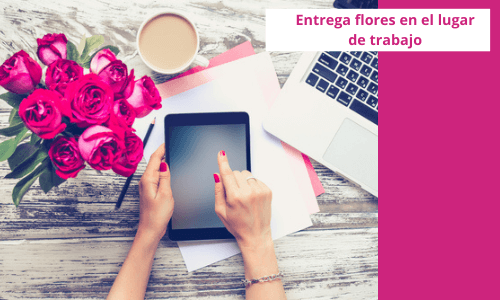 Elige el paquete perfecto