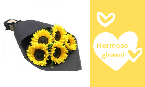 Hermoso ramo de giraso