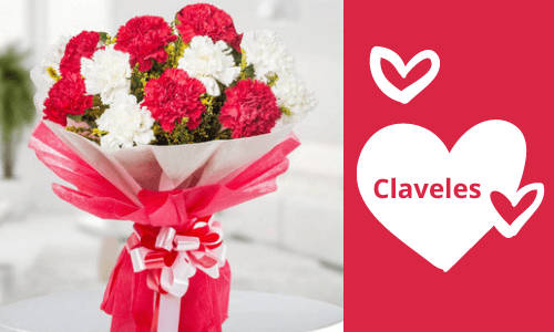 Ramo de flores de claveles