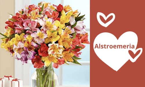 Precioso ramo de Alstroemeria