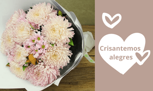 Ramo de crisantemos alegre