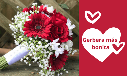 El ramo de gerberas más bonito