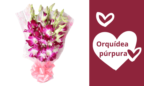 Ramo de orquídeas moradas