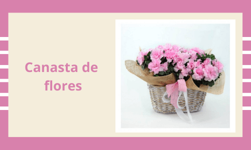 Cesta de flores