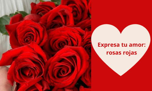 Expresa tu amor: rosas rojas