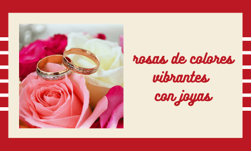 rosas de colores vibrantes con joyas