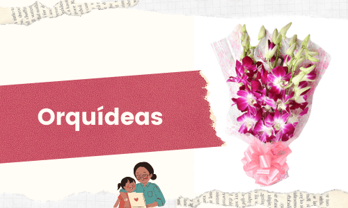 Orquídeas
