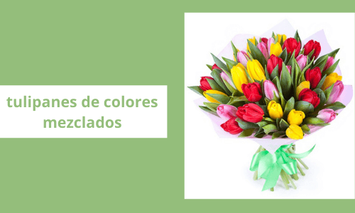 Tulipanes de colores mezclados