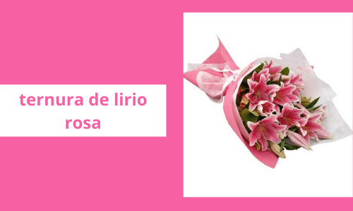 Cuteiness de Lirio rosa
