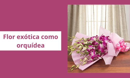 Orquídea similar a una flor exótica