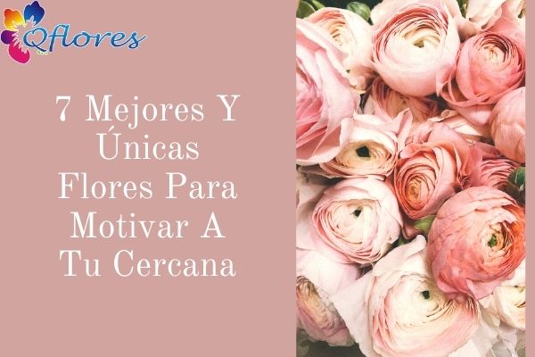 7 Mejores Y Únicas Flores Para Motivar A Tu cercanos
