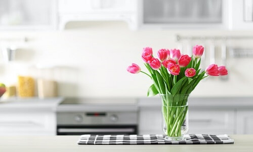 Purificadores de aire