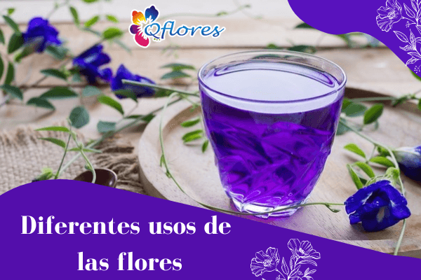 7 diferentes usos de las flores en nuestra vida diaria