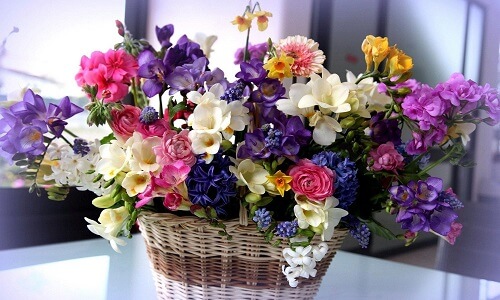 flowers in basket