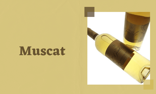 Muscat