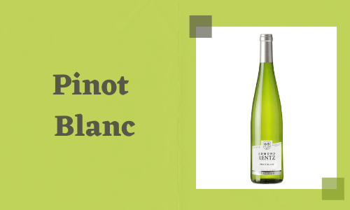 Pinot Blanc