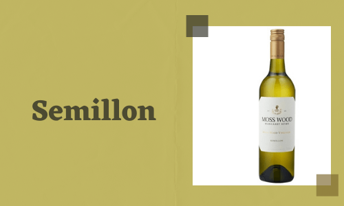 Semillón
