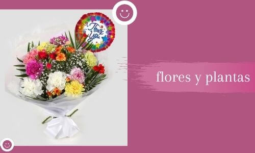 Gracias flores y plantas