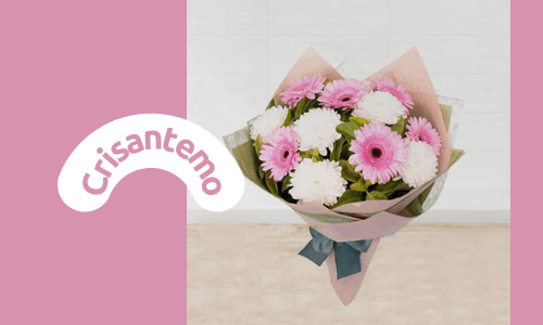 Crisantemo