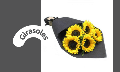 Girasoles