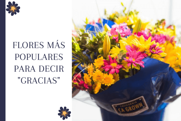 Flores más populares para decir "gracias"