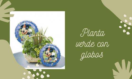 Plantas verdes con globos