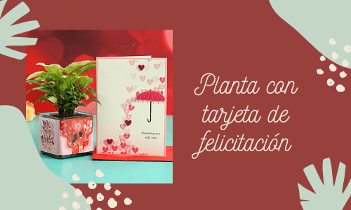 Plantas con tarjetas de felicitación