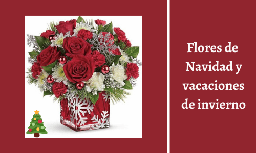 christmas and winter holiday flowers
