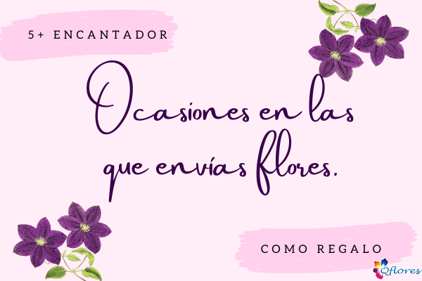 Más de 5 ocasiones encantadoras cuando envía flores como regalo
