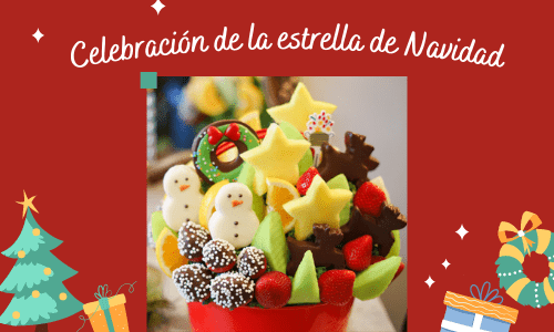 christmas star celebration