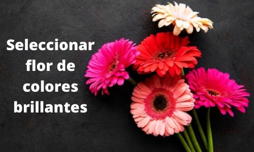 Seleccionar flor de colores brillantes