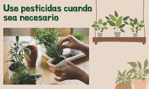 Use pesticidas cuando sea necesario