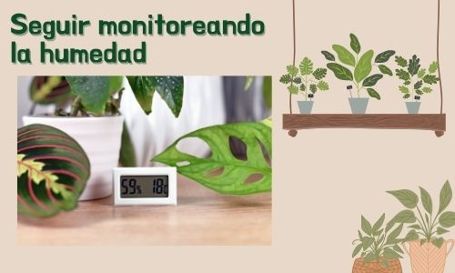 Seguir monitoreando la humedad