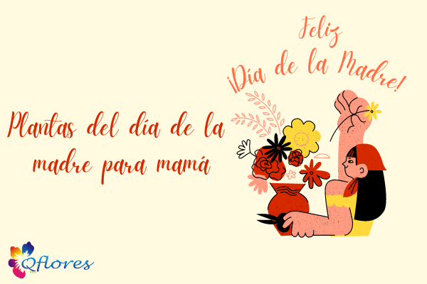 Plantas especiales para el día de la madre para mamá perfecta amante de la naturaleza