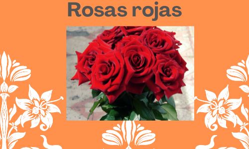 Rosas rojas